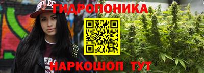 соль ск Тулун
